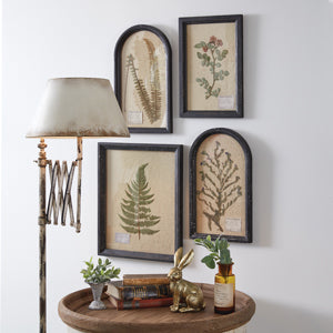 Pressed Botanical Wall Decor - Lady Fern