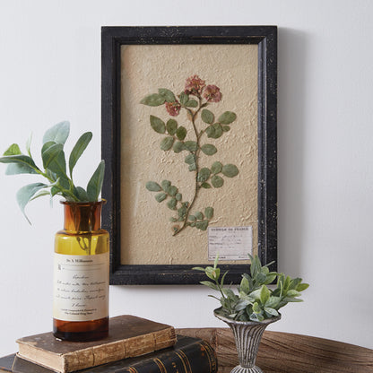 Pressed Botanical Wall Decor - Japanese Rose