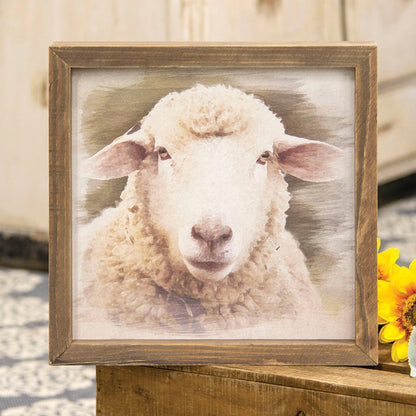 Feed my Sheep Framed Print 12"