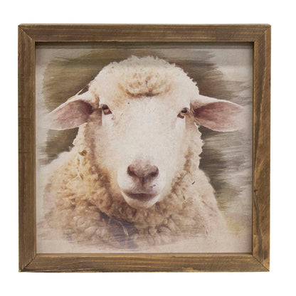 Feed my Sheep Framed Print 12"