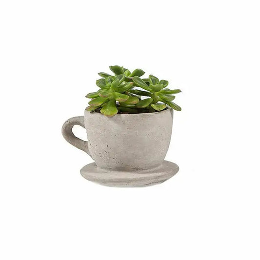 Concrete Teacup Planter