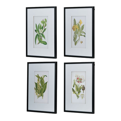 Botanical Flower Wall Art Set of 4, 20" x 28"