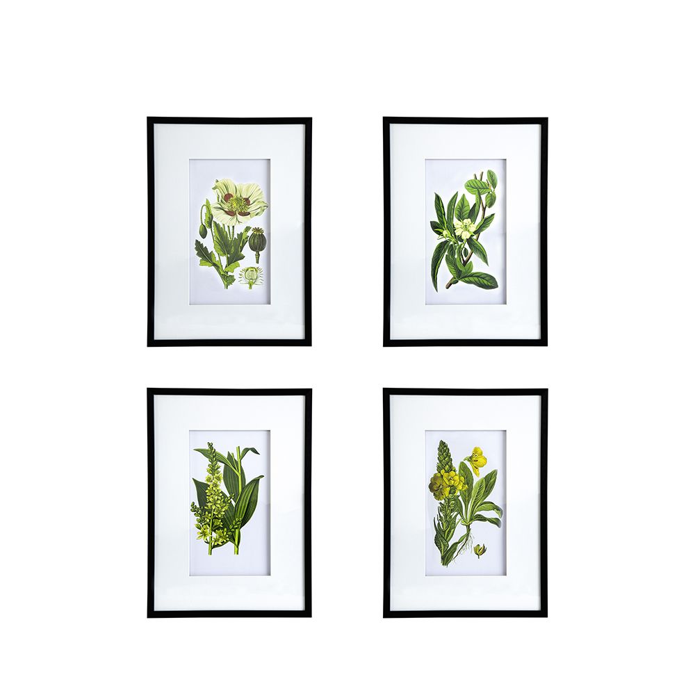 Botanical Flower Wall Art Set of 4, 20" x 28"