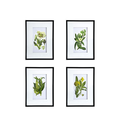 Botanical Flower Wall Art Set of 4, 20" x 28"