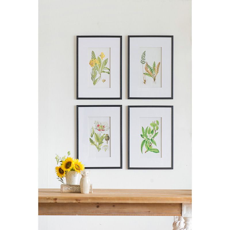 Botanical Flower Wall Art Set of 4, 20" x 28"