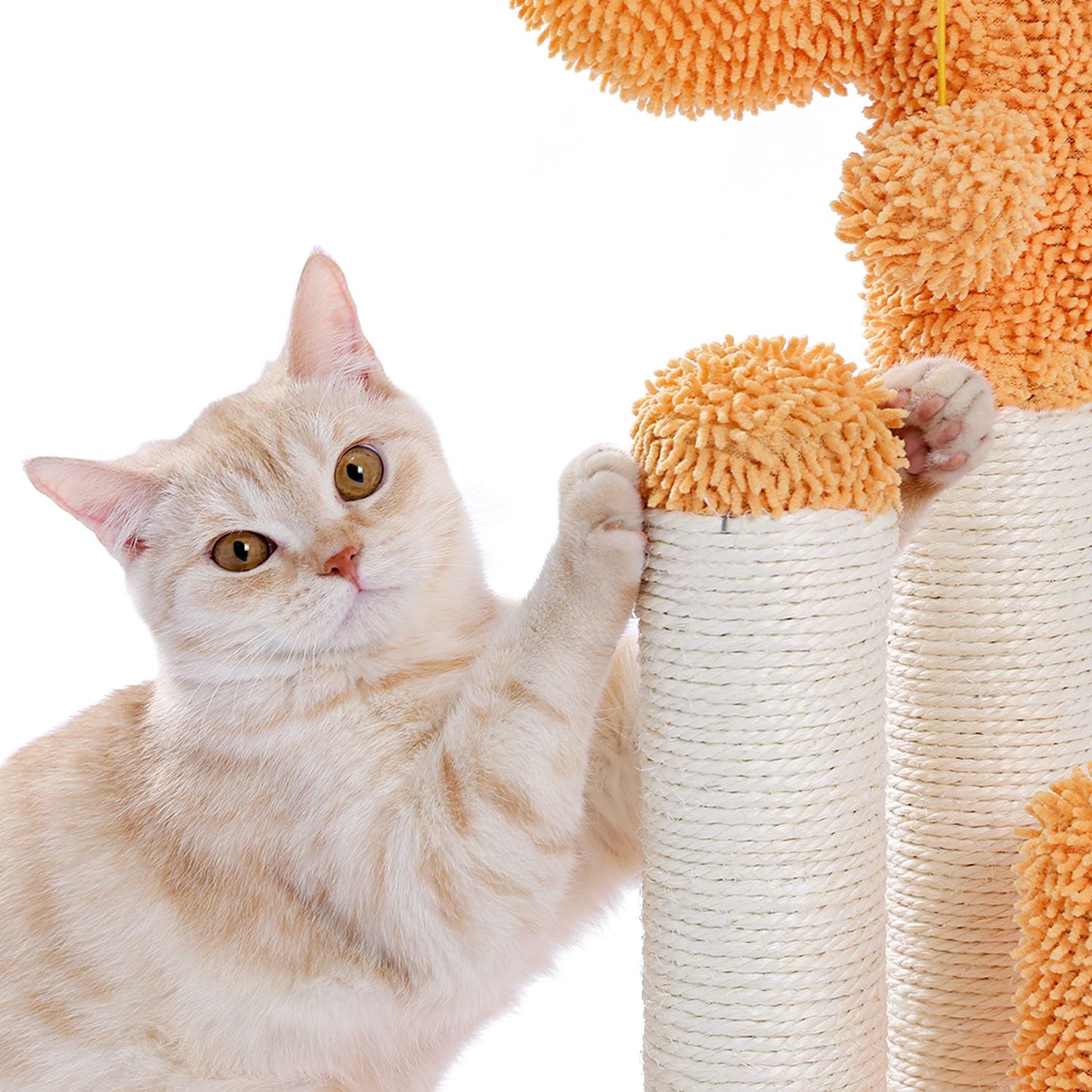 Cactus Cat Scratchers Scratch Pole with Natural Sisal Rope for Indoor Cats;  Vertical Cactus Cat Tree