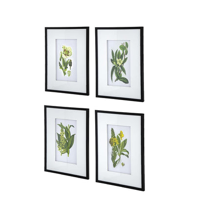 Botanical Flower Wall Art Set of 4, 20" x 28"