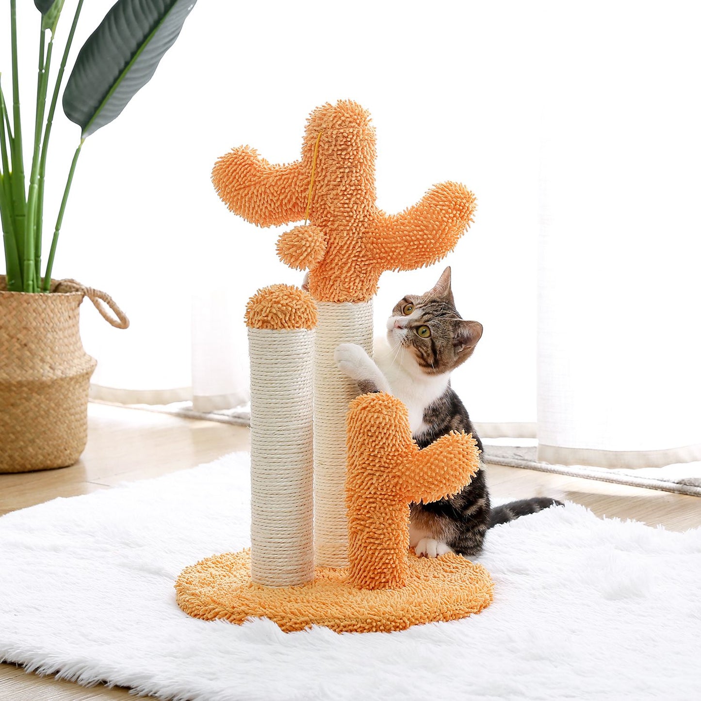 Cactus Cat Scratchers Scratch Pole with Natural Sisal Rope for Indoor Cats;  Vertical Cactus Cat Tree