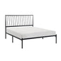 Metal Frame Platform Bed, Queen Size, Black Finish