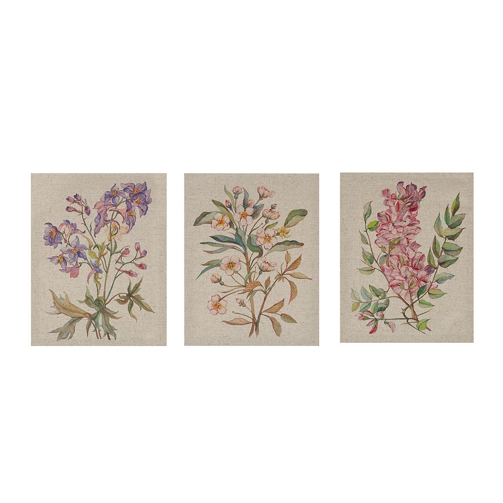 Colored Flora Illustration 3-piece Linen Canvas Wall Art Set