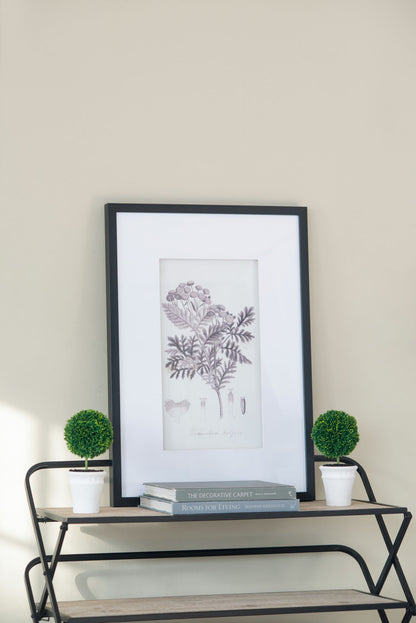 Botanical Wall Art Prints, Set of 4, 20" x 28"