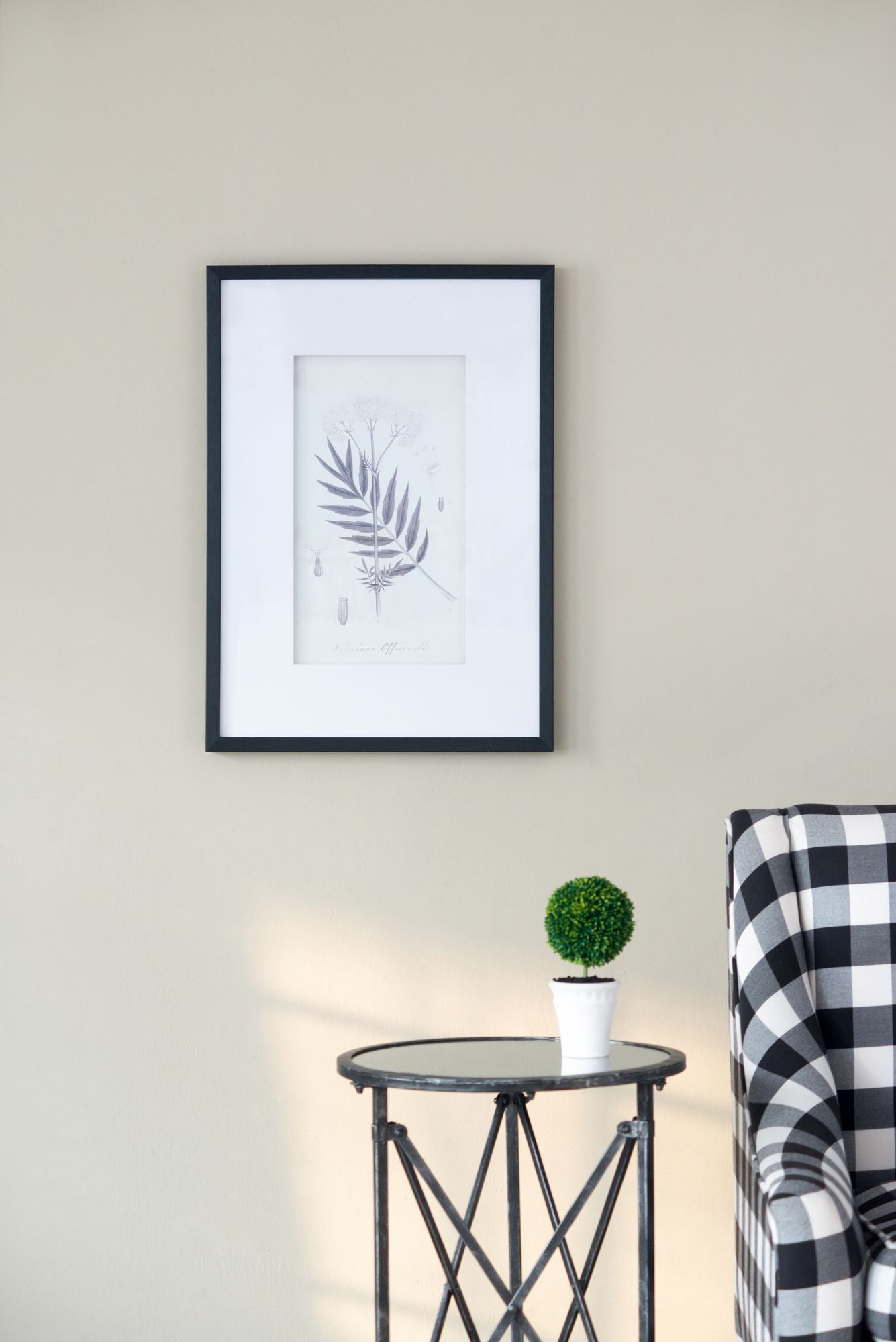 Botanical Wall Art Prints, Set of 4, 20" x 28"