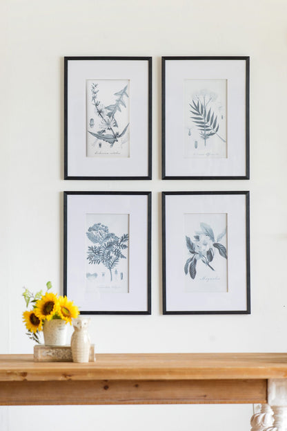 Botanical Wall Art Prints, Set of 4, 20" x 28"