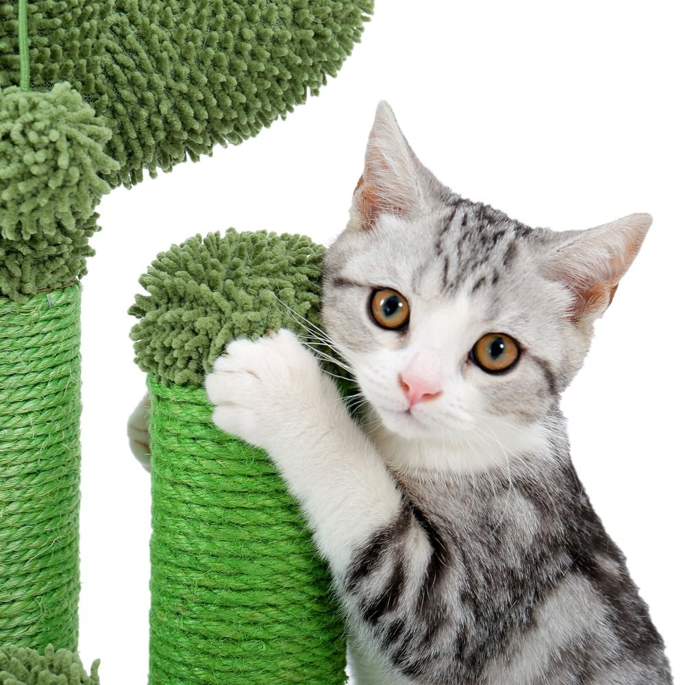 Cactus Cat Scratchers Scratch Pole with Natural Sisal Rope for Indoor Cats;  Vertical Cactus Cat Tree