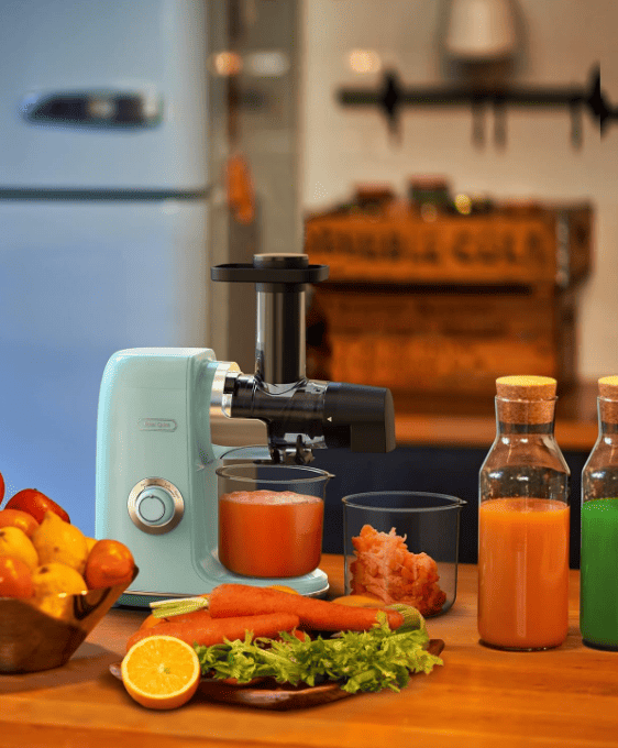 Fruit and vegetable juice machine, easy to clean 2 speed mode and reverse function