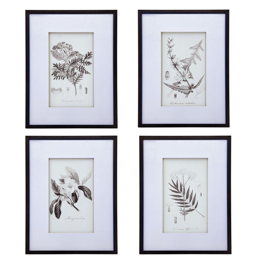 Botanical Wall Art Prints, Set of 4, 20" x 28"