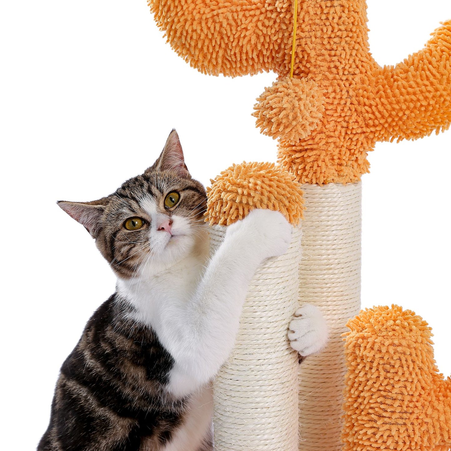 Cactus Cat Scratchers Scratch Pole with Natural Sisal Rope for Indoor Cats;  Vertical Cactus Cat Tree