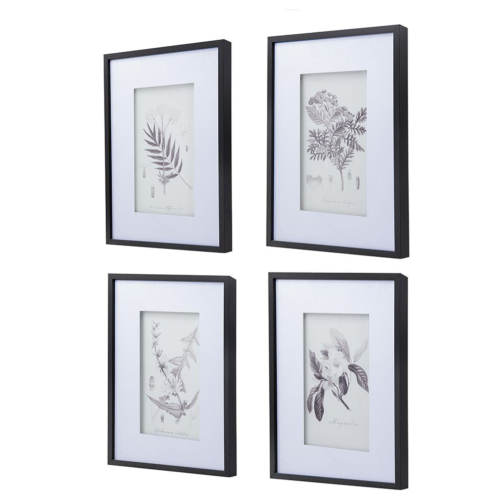 Botanical Wall Art Prints, Set of 4, 20" x 28"