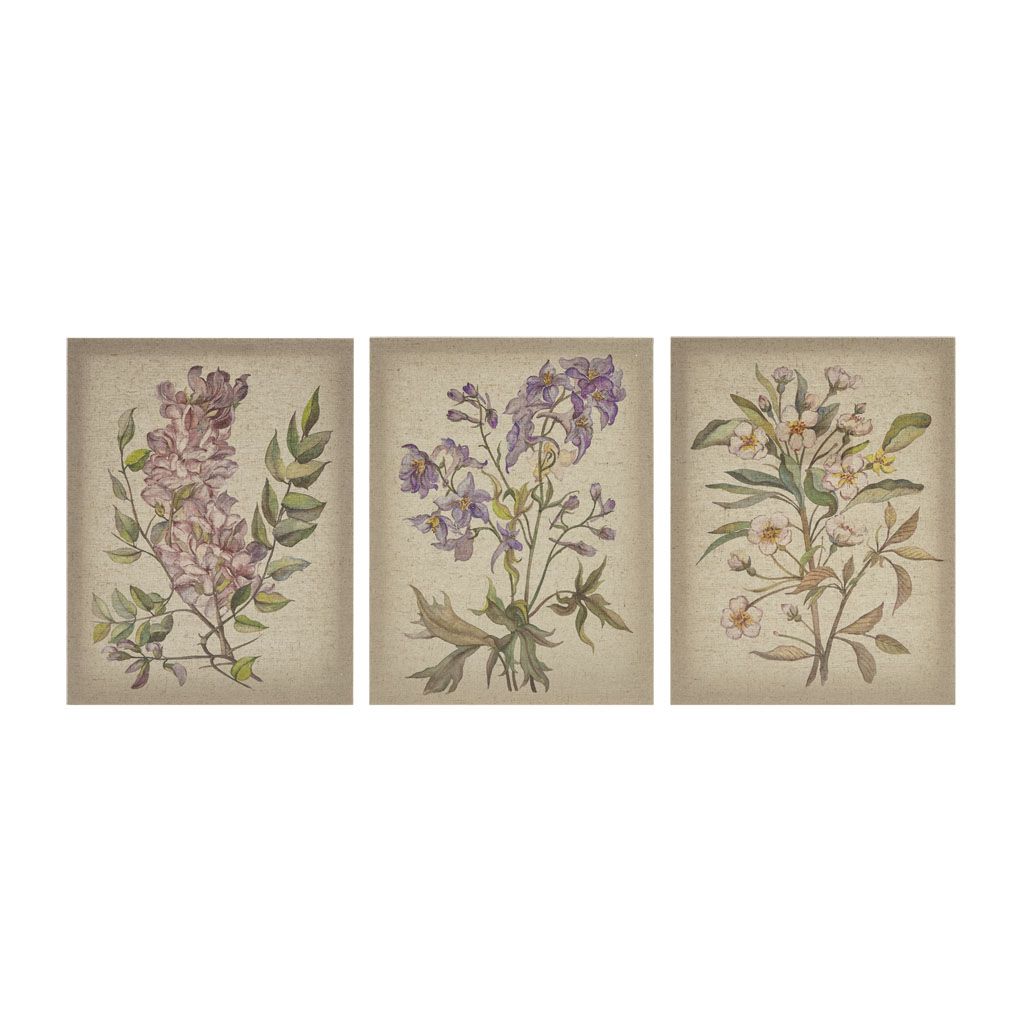 Colored Flora Illustration 3-piece Linen Canvas Wall Art Set