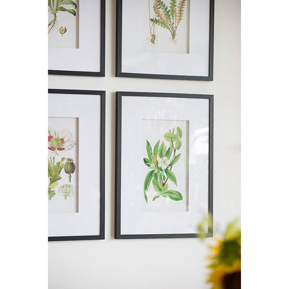 Botanical Flower Wall Art Set of 4, 20" x 28"