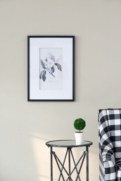 Botanical Wall Art Prints, Set of 4, 20" x 28"