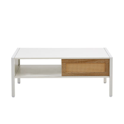 Rattan Coffee table with Sliding Door 40.16"