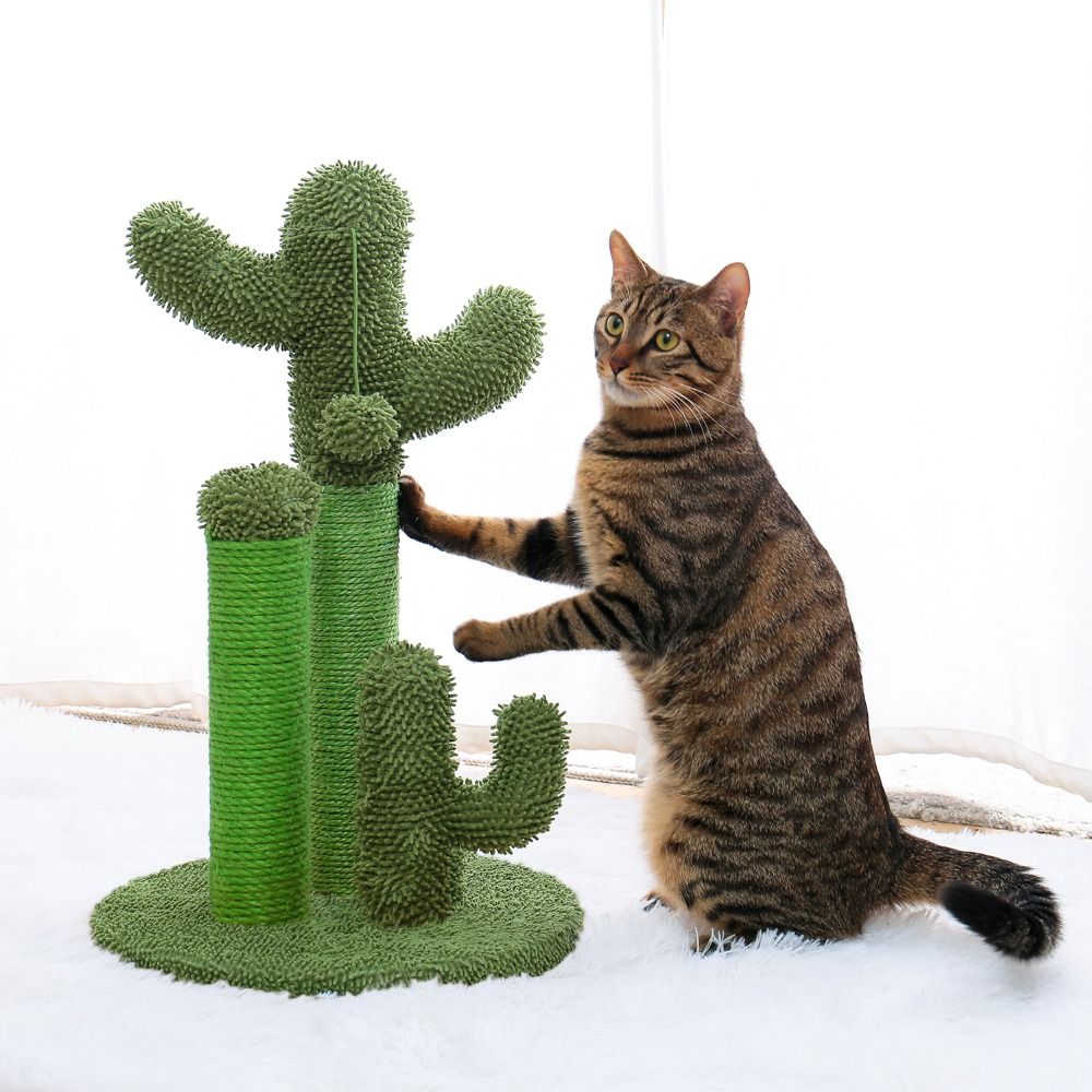 Cactus Cat Scratchers Scratch Pole with Natural Sisal Rope for Indoor Cats;  Vertical Cactus Cat Tree