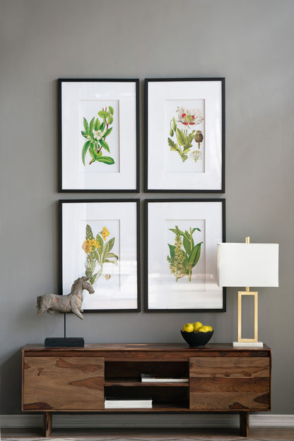 Botanical Flower Wall Art Set of 4, 20" x 28"